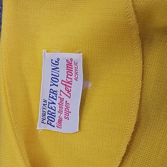 VINTAGE Puritan Forever Young Dress - Picture 4 of 16